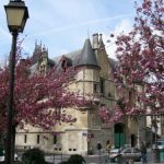 Paris spring blossoms