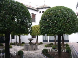 Cordoba is a city of charming courtyards.