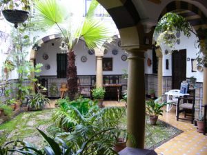 Cordoba is a city of courtyards