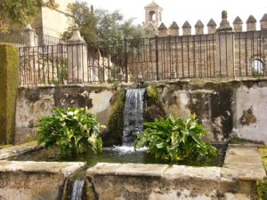 Cordoba - gardens of the Alcazar