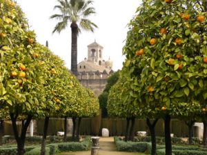 Cordoba - gardens of the Alcazar