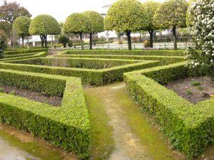 Cordoba - gardens of the Alcazar