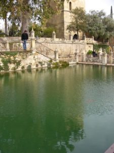 Cordoba - courtyard pond in the