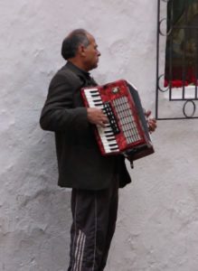 Malaga accordian player