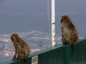 View from the top of Gibraltar. The