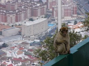 View from the top of Gibraltar. The