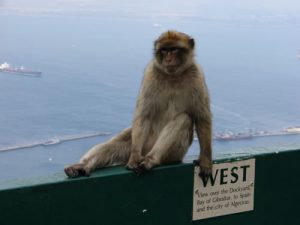 View from the top of Gibraltar. The