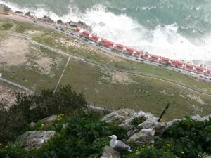 View from the top of Gibraltar. The