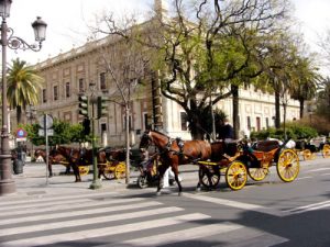 Seville - the sprawling palace-fortress Alcazar was started in