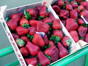 Seville - strawberries