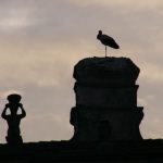 Trujillo - Stork nest above plaza major