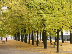 Germany: Gay Berlin