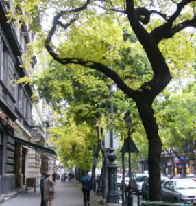 Budapest, Hungary - City Details