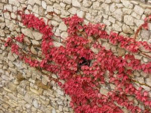 Budapest, Hungary - City Details