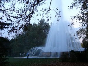 Fountain spray in the park in
