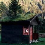 Cottage with sod and tree roof