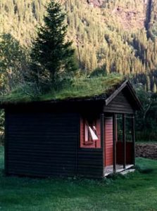 Cottage with sod and tree roof