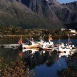 Lofoten fishing port