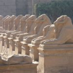 The Karnak Temple Complex describes a vast assembly of ruined