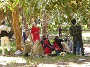 Random images from around Aswan City and on the Nile