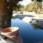 Random images from around Aswan City and on the Nile