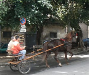 Italy - Sicily, Palermo - Ride by horse and carriage