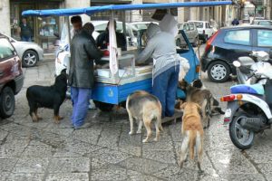 Palermo market street - dogs waiting for scraps