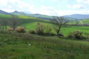 Southern hills of Sicily