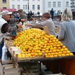 Zagreb - market