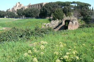 Ancient Roman stadium