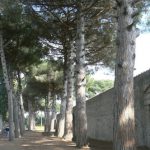 Italy - Ruins of Pompeii