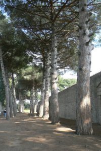 Italy - Ruins of Pompeii