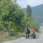 Rural Transportation