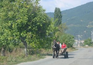 Rural Transportation