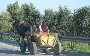 Common Rural Farm Transport