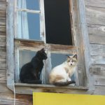 Nesebar--Old Town Watchful Eyes