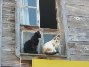 Nesebar--Old Town Watchful Eyes