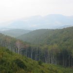 Sredna Gora Mountains