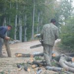 Woodcutters on Mountain Road
