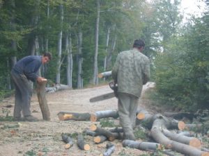 Woodcutters on Mountain Road