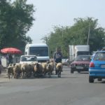 Morning Commuter Traffic Jam