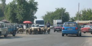 Morning Commuter Traffic Jam