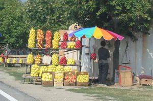 Roadside Fruit Stand