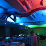 Veliko Turnovo Internet Cafe Ceiling