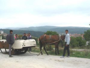 Unusual Horse Cart