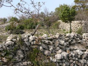 Very rocky terrain