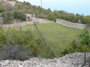 Very rocky terrain