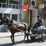 Sofia--Horse Cart in Downtown