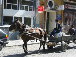 Sofia--Horse Cart in Downtown