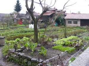 Ljubljana - local garden